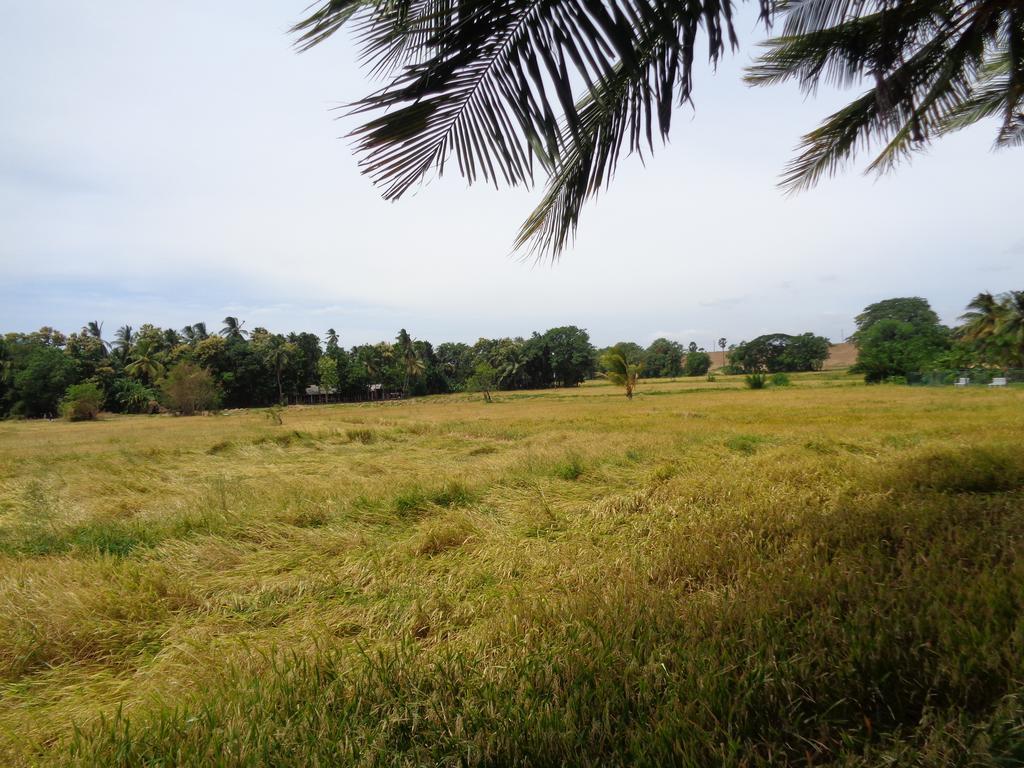 Canal Side Guest House Polonnaruwa Exterior foto